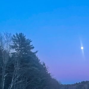 Justice x Kavinsky x Synthwave Type Beat - VEINS ON OUTSIDE by lilacrust