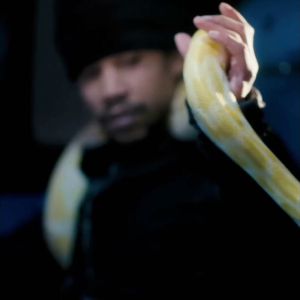 Eruption by nomaalaprod